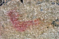07 Ancient Pictograph At Banff Grotto Canyon In Winter